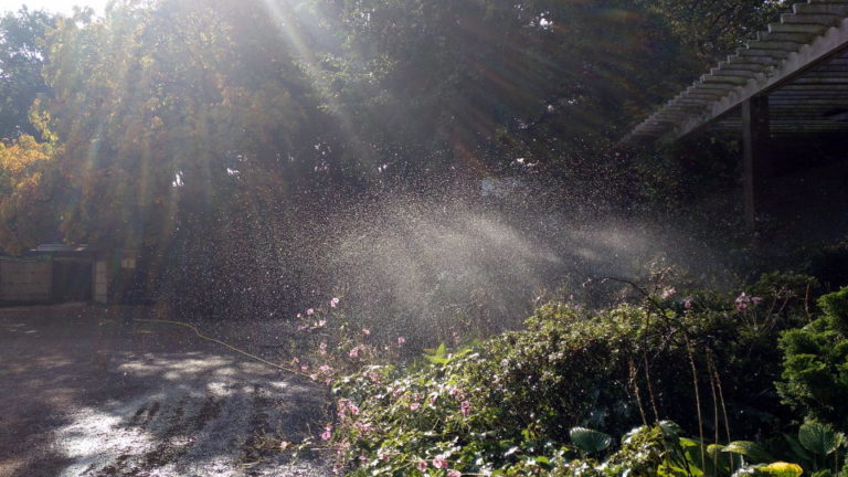 City Park - Water Fontain And Sunlight