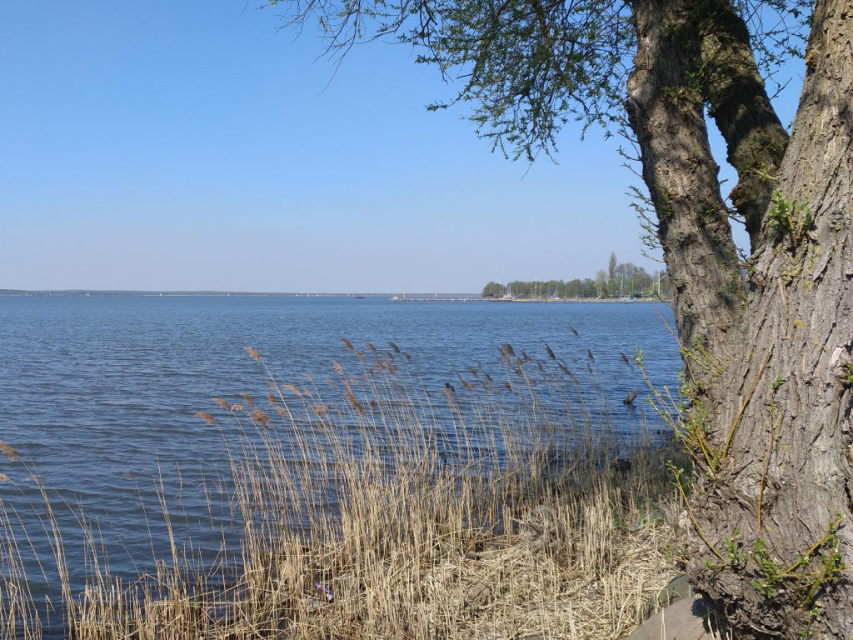 lake Steinhuder Meer