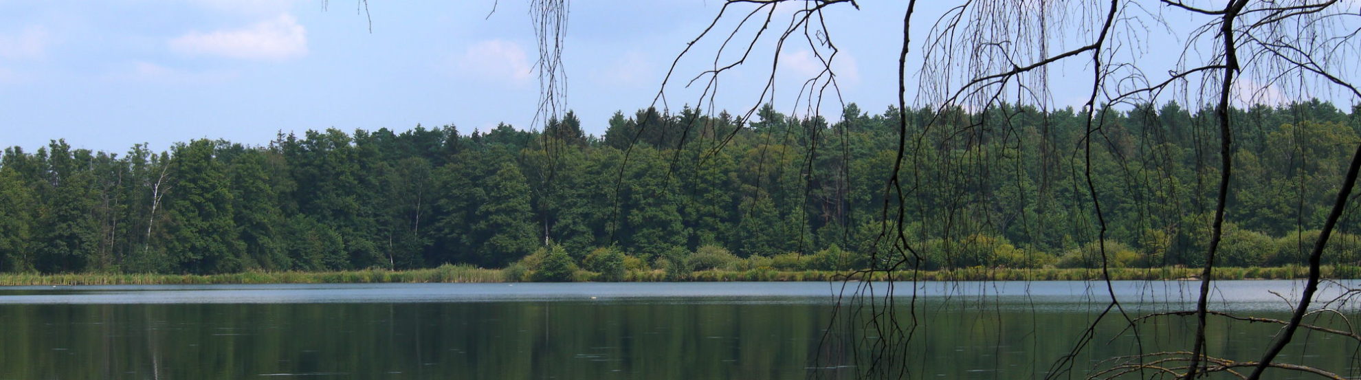 lake in Lüneburger Heide in Lower Saxony